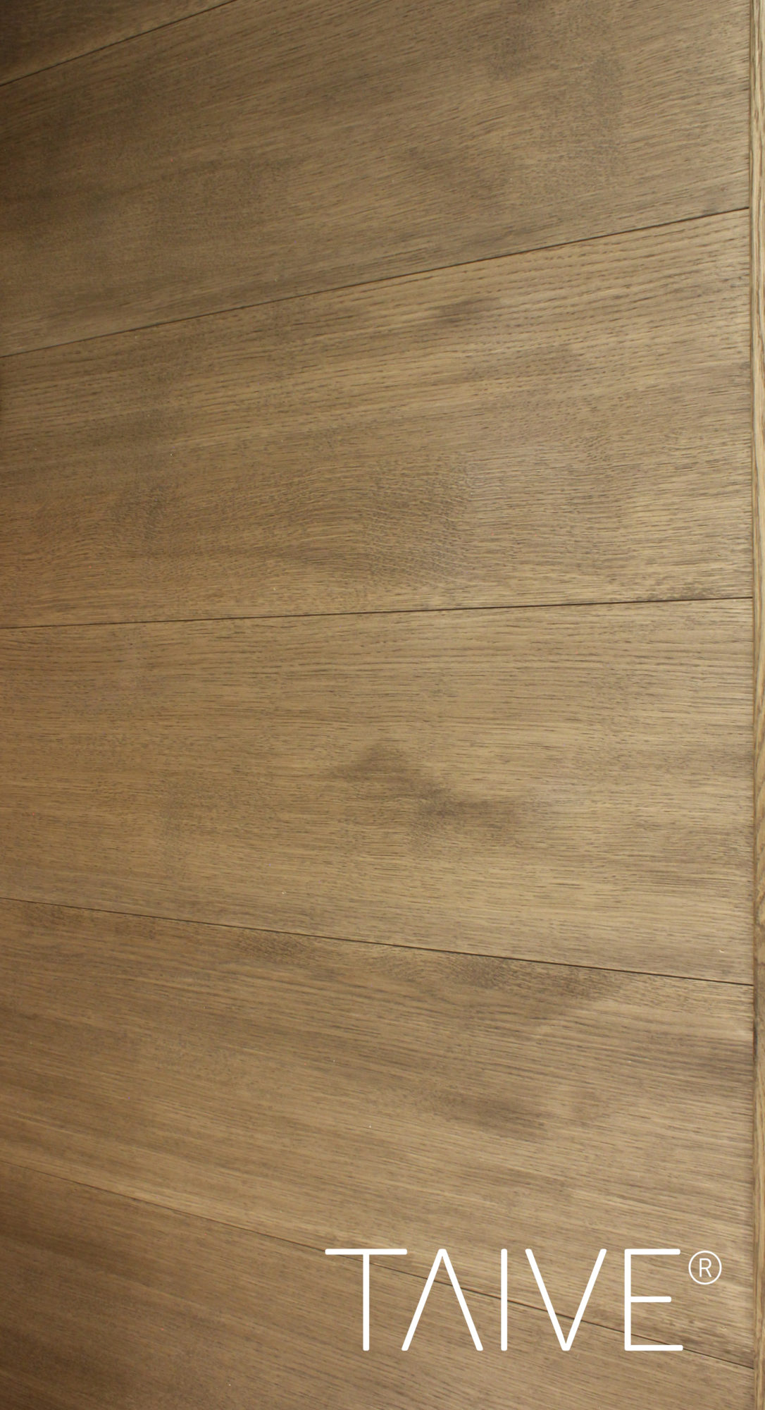 Cariitin Taive paneeli lähikuvassa